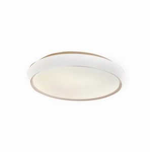 צמוד תיקרה 50W AC ALBAN קוטר 50 -אור צהוב
